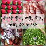 냉산쉼터농장&도자기 원데이클래스