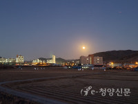 청양펠리체오피스텔
