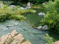 진평공인중개사사무소