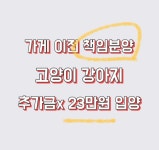 의정부강아지분양 고양이분양 마이펫브로 의정부점