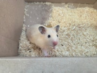 와우펫앤쥬 진주점