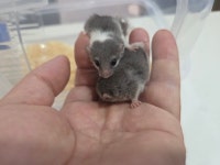 와우펫앤쥬 진주점