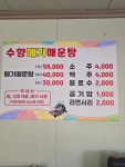 수향메기매운탕