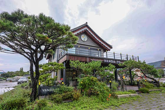 반다99 사진