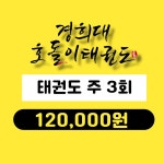 경희대호돌이태권도장