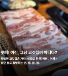 최강곱돌이 풍무점 | 곱돌