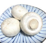 굽자카야 로바타로지