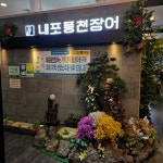 내포풍천장어