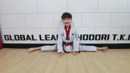 경희대호돌이태권도장