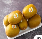 현대홈웨이마트