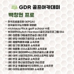 버디메이커 골프아카데미