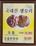 황금오리