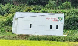 호두나무아래서