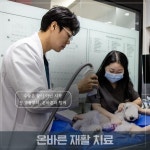 온바른동물의료센터