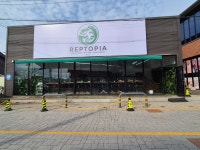 평택파충류샵 렙토피아