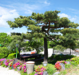 용인 하늘이닿은집 펜션