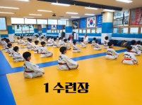 국민태권도