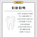 참플란트치과의원