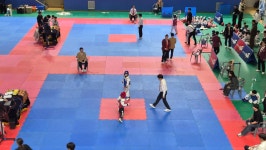 JTA용인대태권도