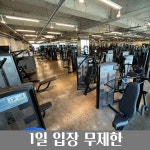 단디휘트니스 경산계양점