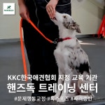 핸즈독 트레이닝 센터