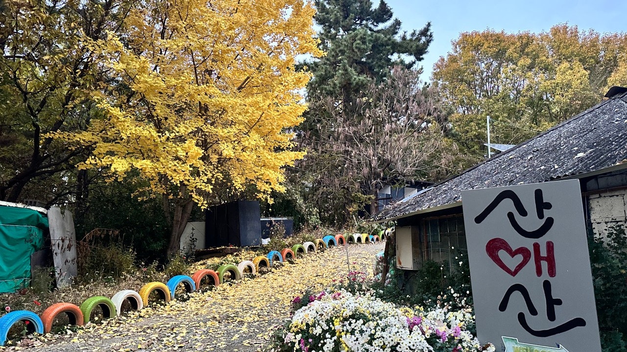 산애산