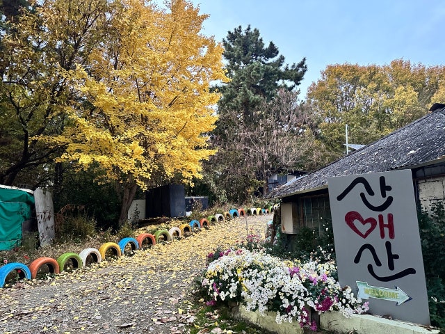 산애산