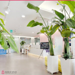 강남에스터산부인과의원