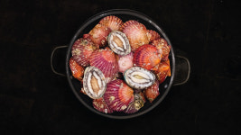 왕새우직판장 주안점