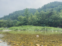 소금강여울목펜션