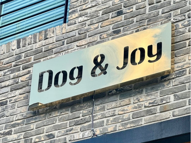 도그앤조이