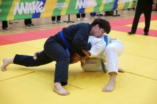 위시티어반주짓수