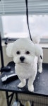 더예뻐지개