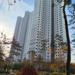 초지역수정공인중개사사무소