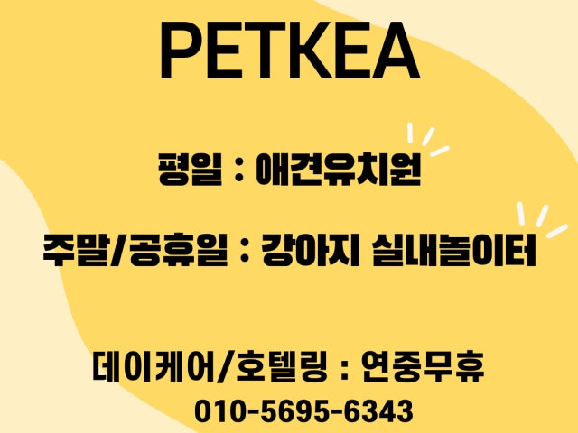 펫케아