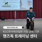 핸즈독 트레이닝 센터