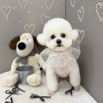 샤멍샤멍 반려견미용실