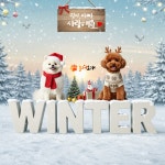 놀러오개 애견유치원 애견호텔 청라신도시점