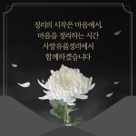 리앤상사바른담뱃잎