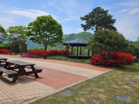 배바우 체험휴양마을