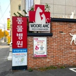 대전우리동물의료센터