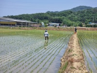 재우네 달달 농장