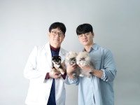 청주 강아지분양 고양이분양 미유펫 청주점