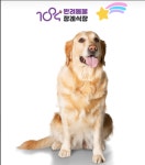 전남순천1004반려동물장례식장