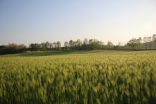 넓은들 학원농장