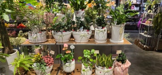 페이지그린 롯데마트 시흥배곧점