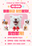 디오네 도그 케어 살롱