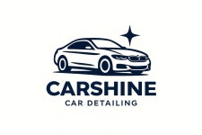 카샤인출장세차