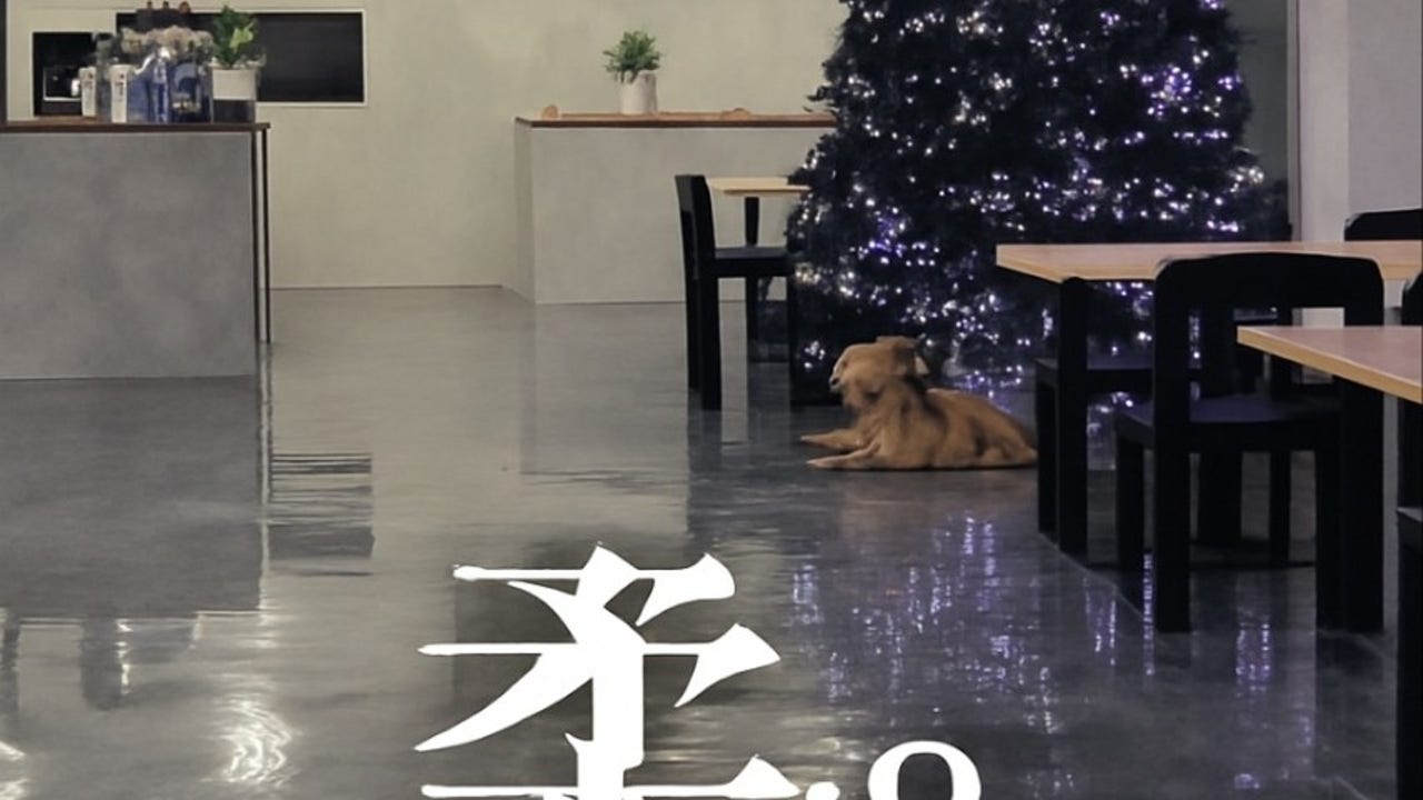 로스터리랩유