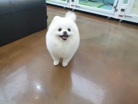 몽몽미뇽